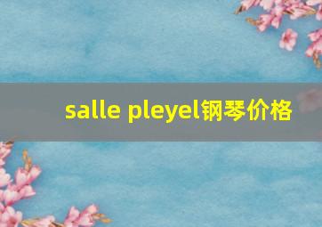 salle pleyel钢琴价格